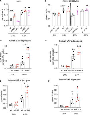 Hypoxia-driven metabolic reprogramming of adipocytes fuels cancer cell proliferation